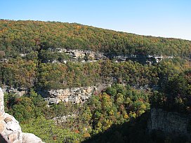 Georgia's Cloudland Canyon State Park - Vista from Rim Trail